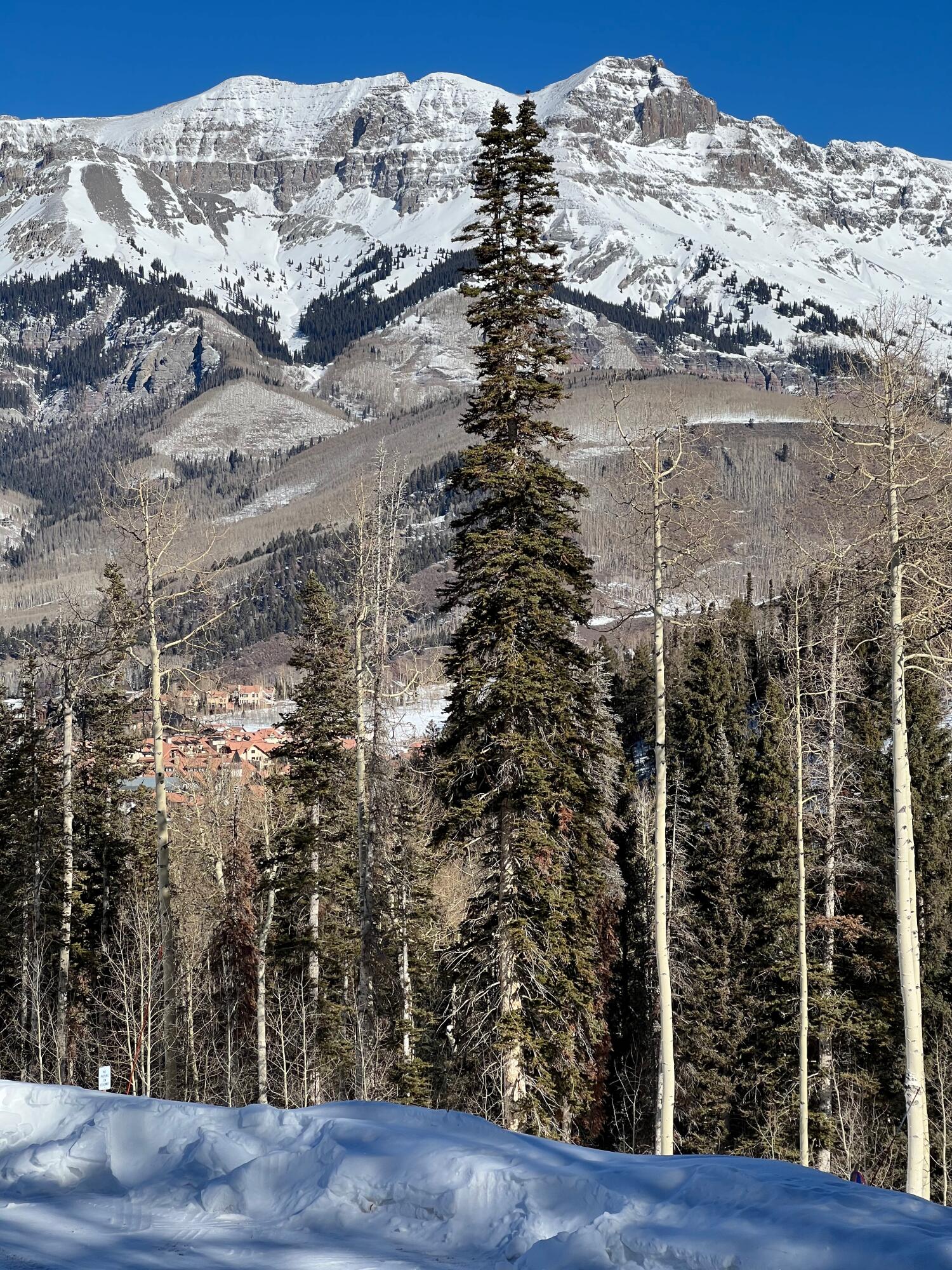 115 Cortina Drive