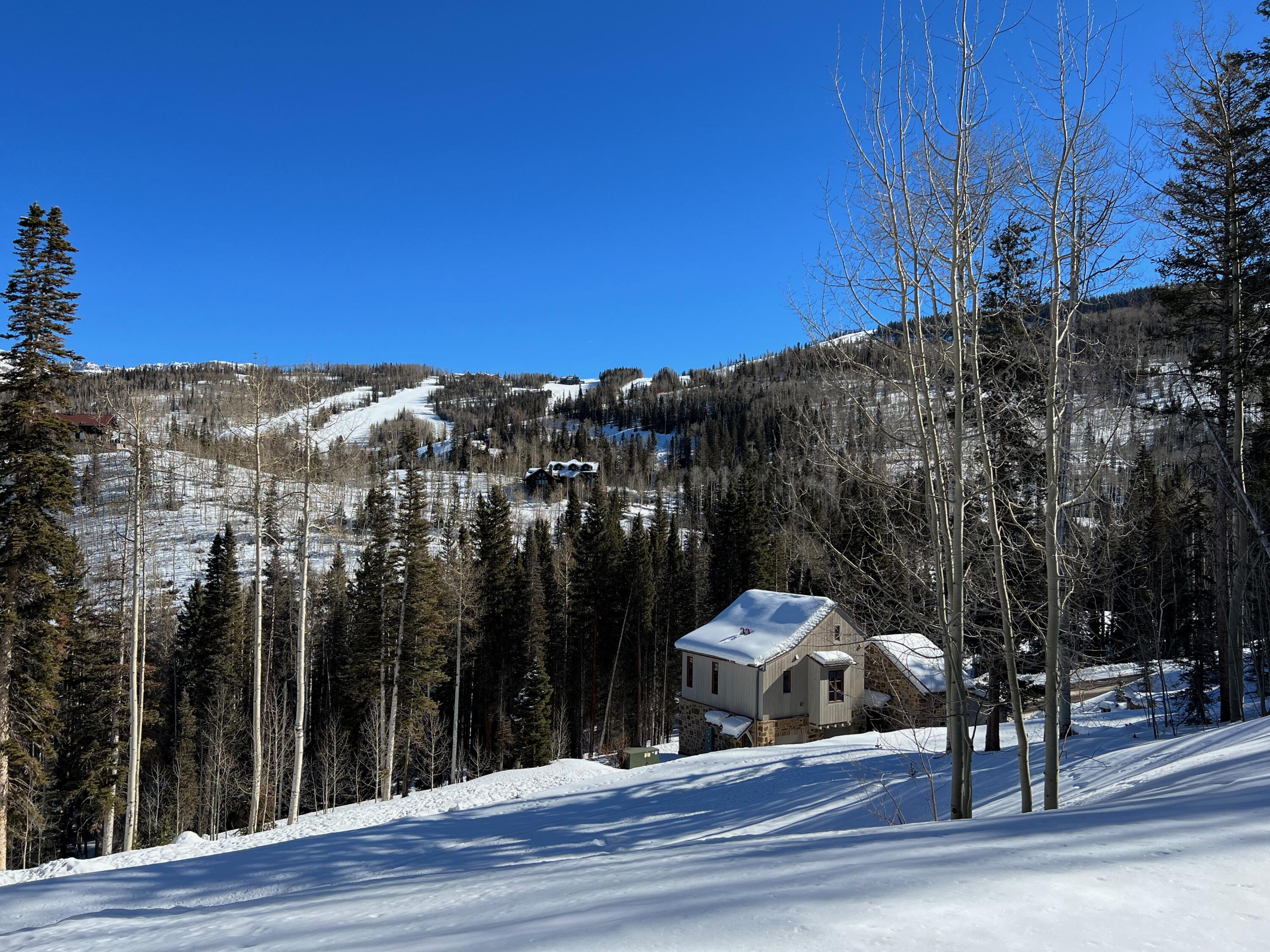 115 Cortina Drive