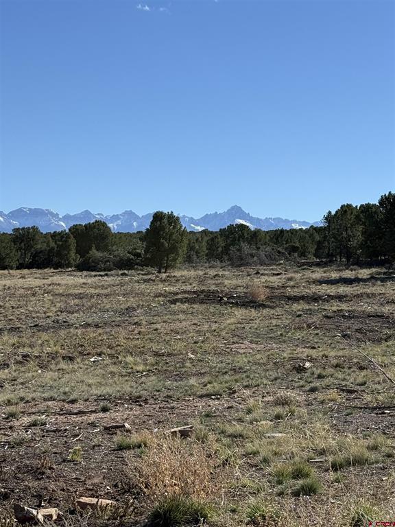 382 and 1531 Sugar Bush and Sager