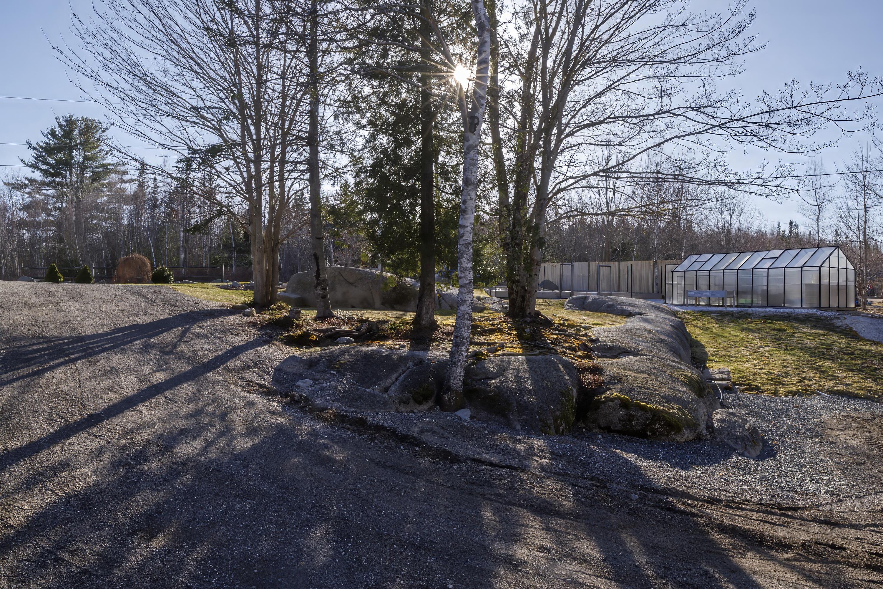 12 Lonely Oak Way