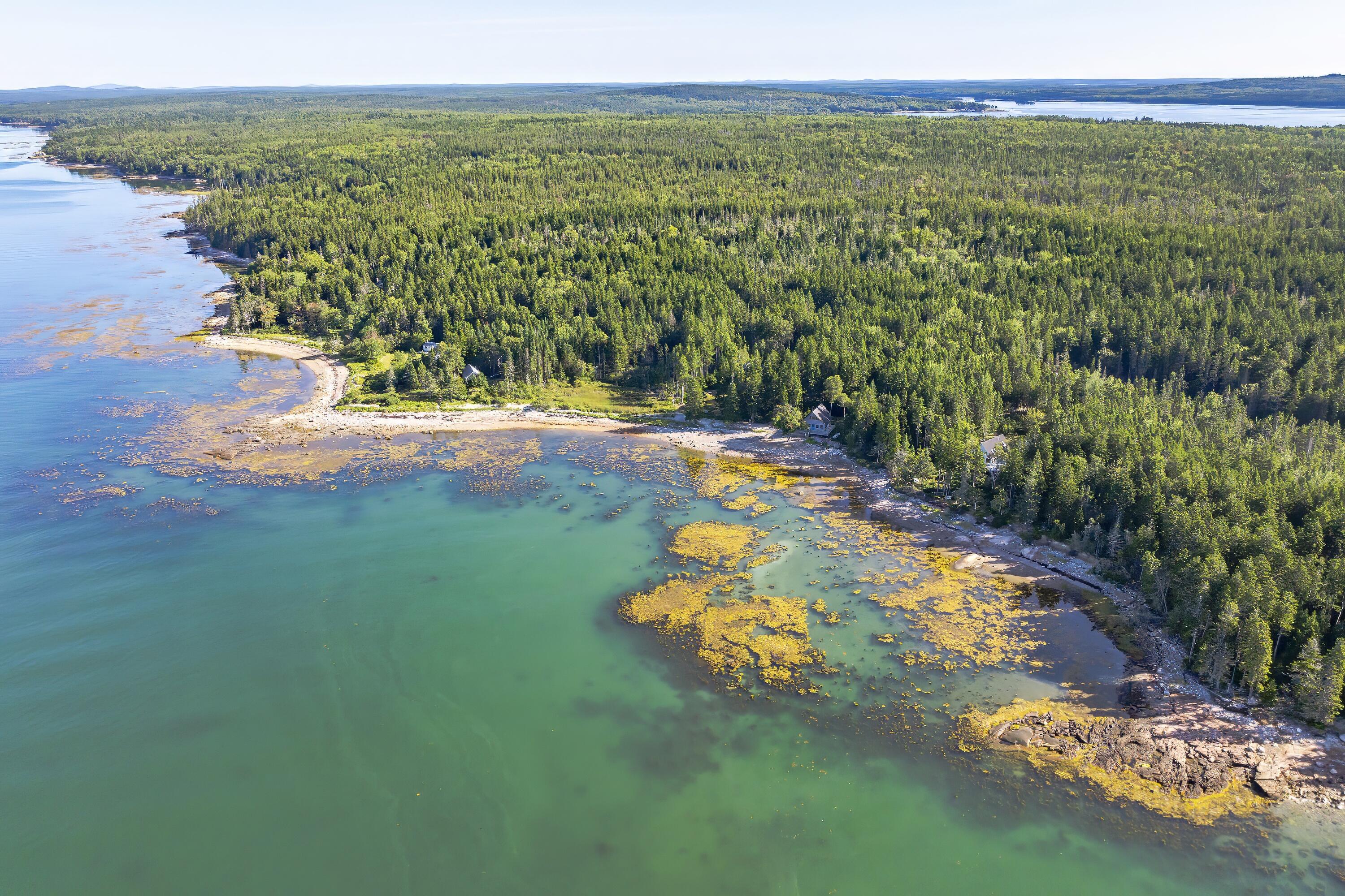 209 Wilderness Shore Road