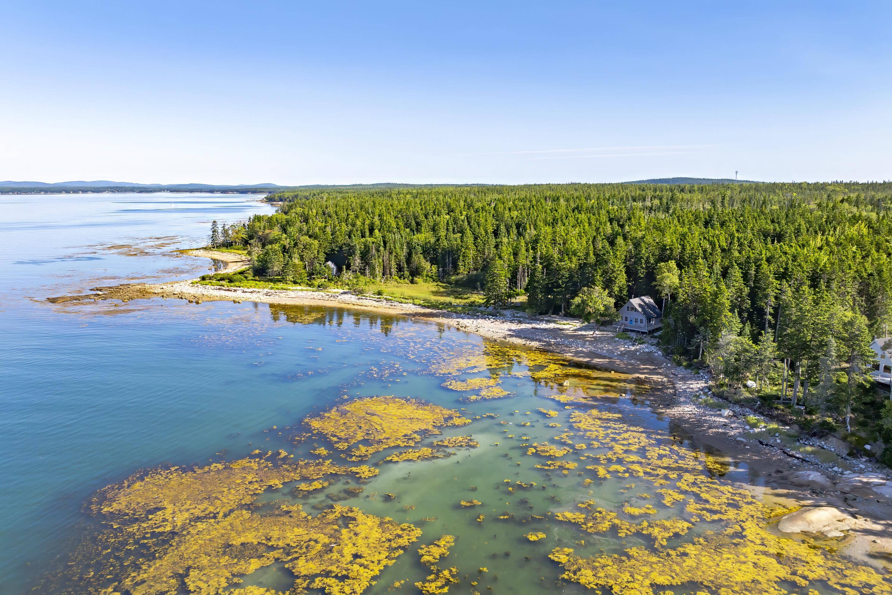 209 Wilderness Shore Road