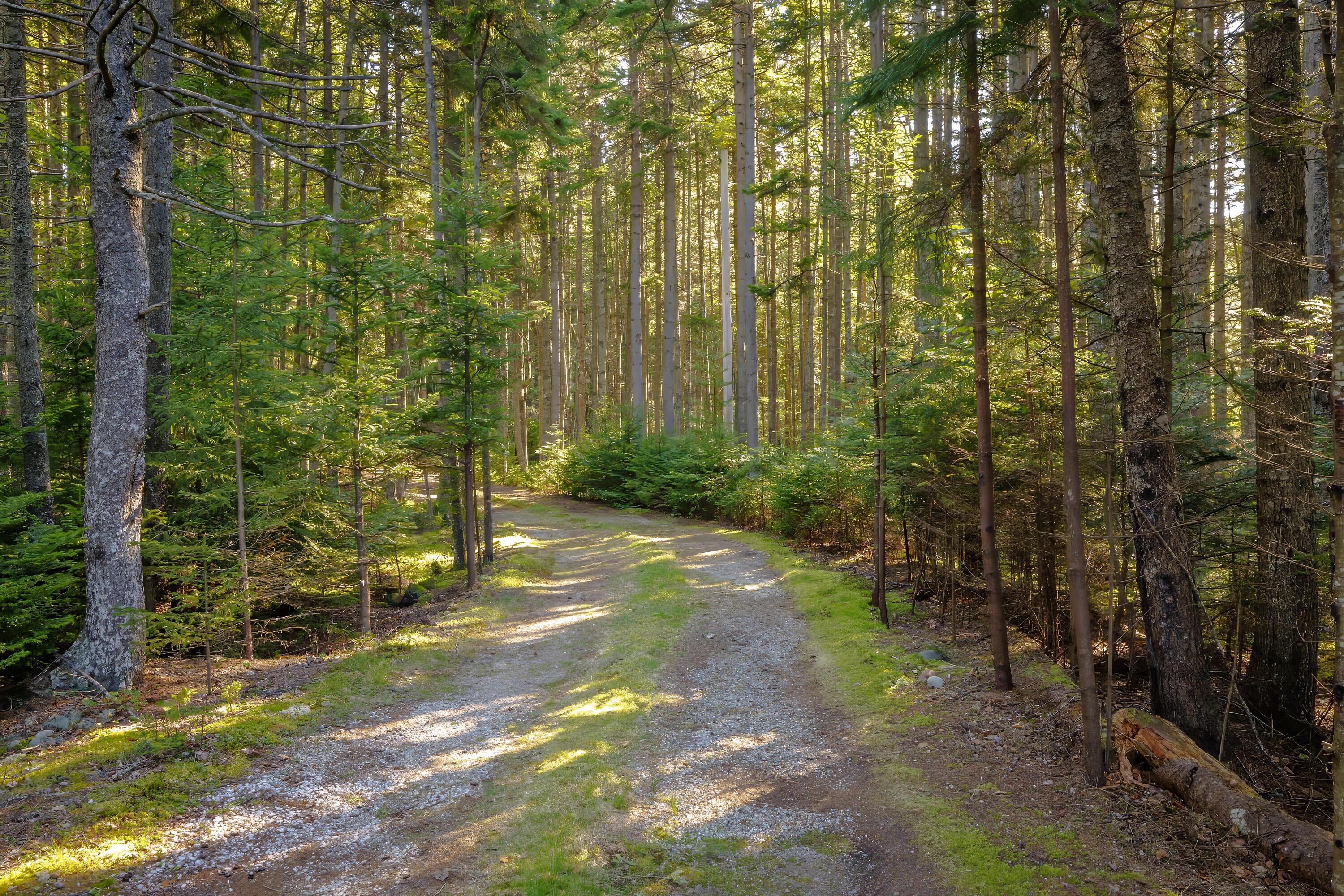 209 Wilderness Shore Road