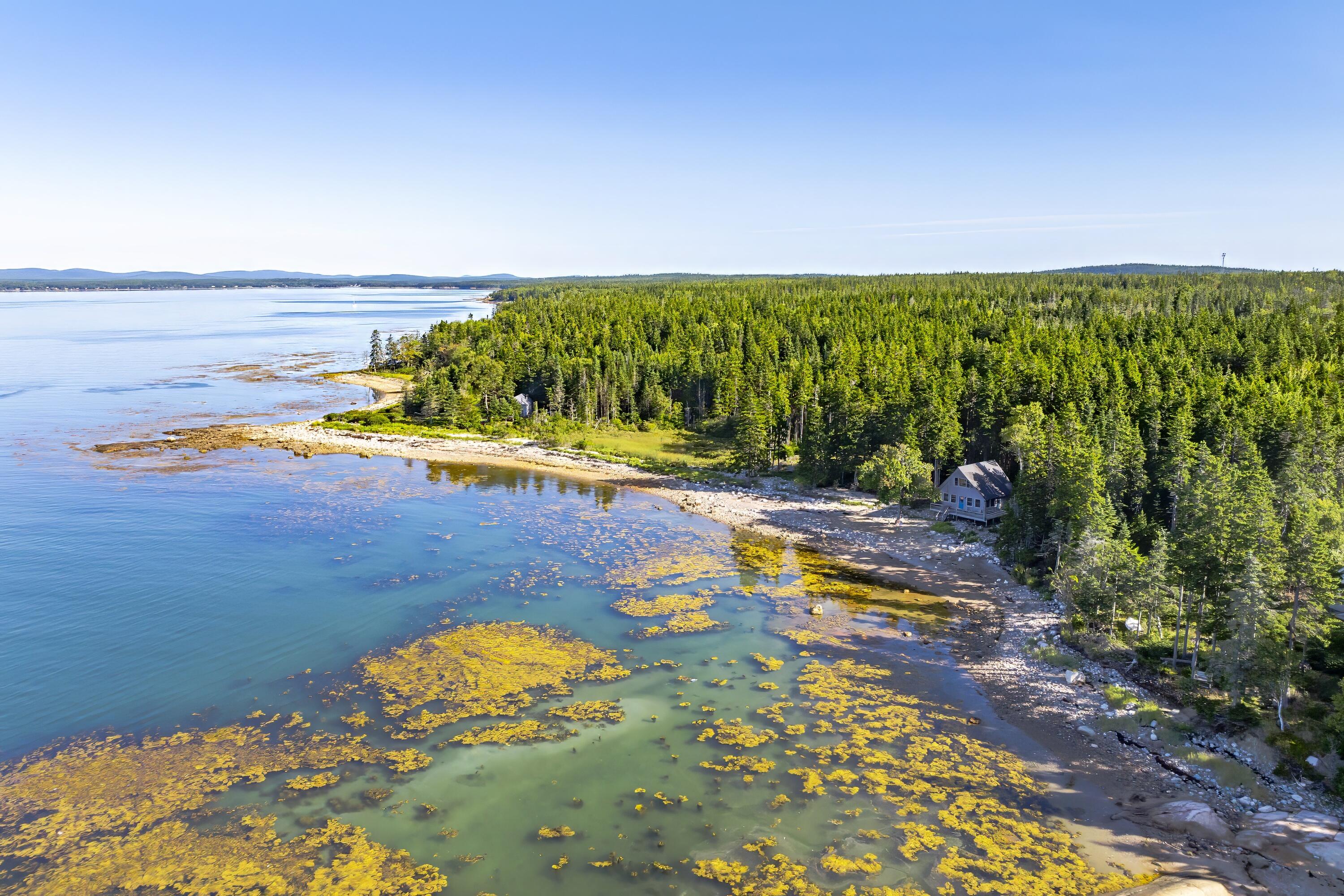 209 Wilderness Shore Road