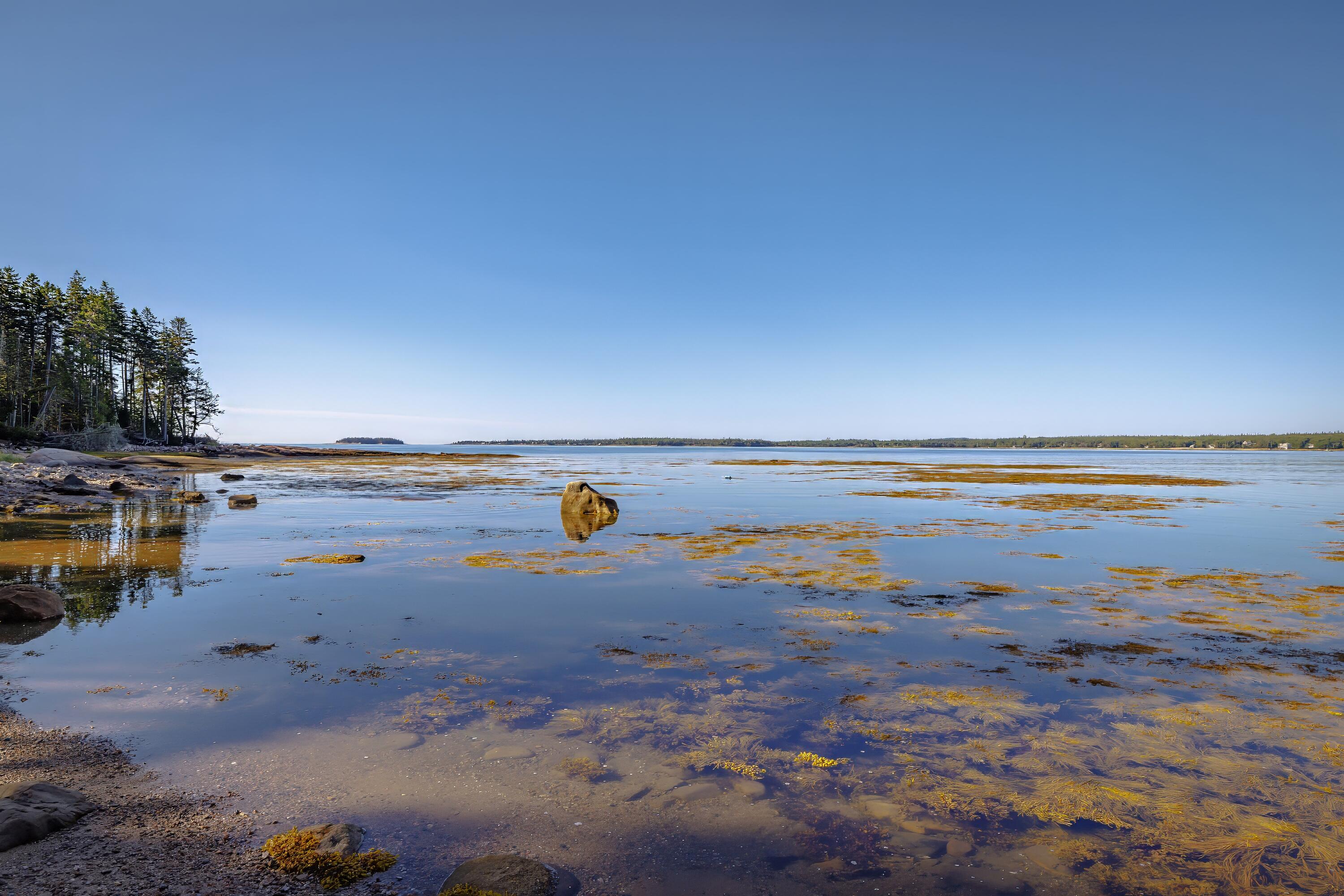 209 Wilderness Shore Road