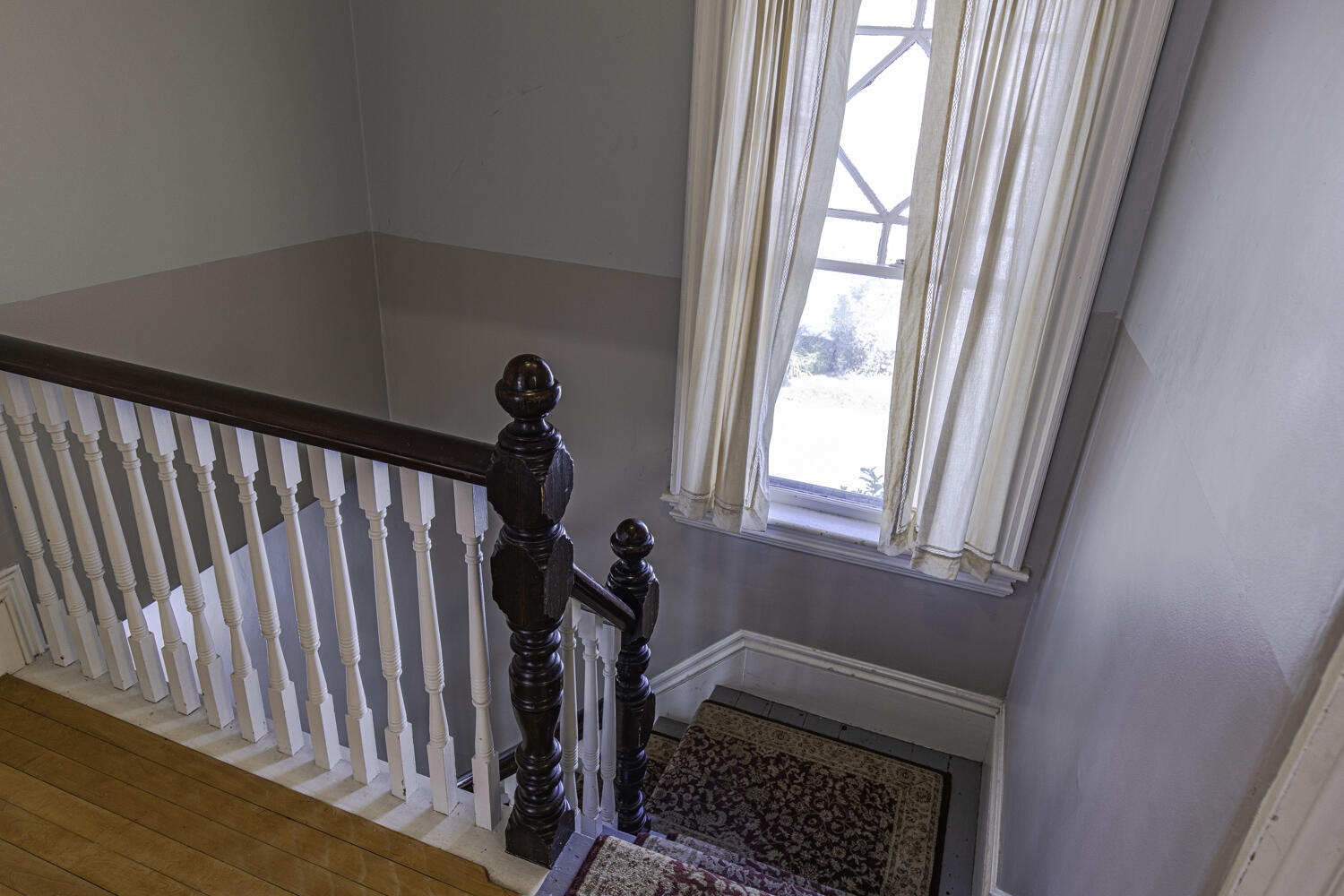 135 Forest Avenue