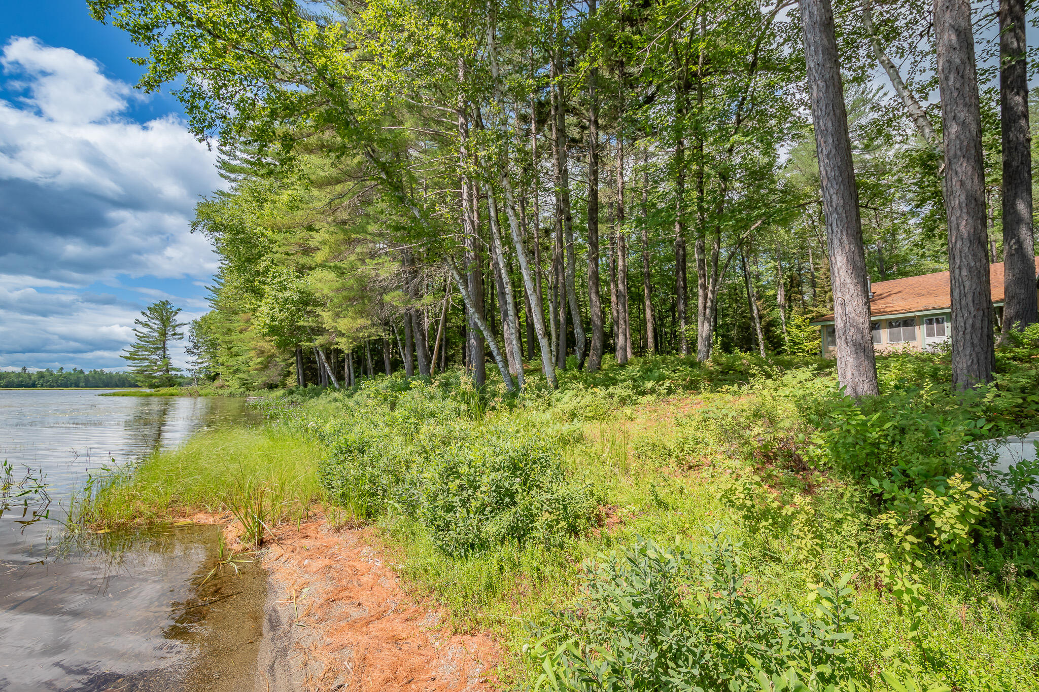 770 Ebeemee Lake Road