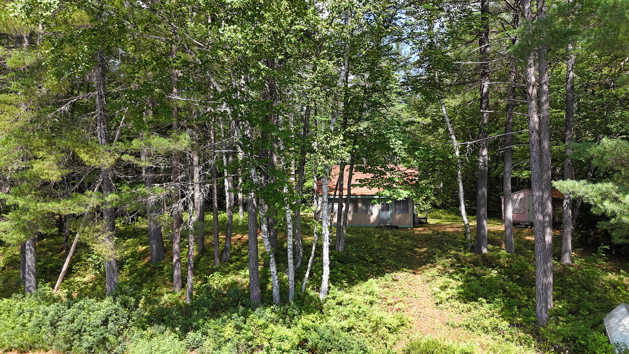 770 Ebeemee Lake Road