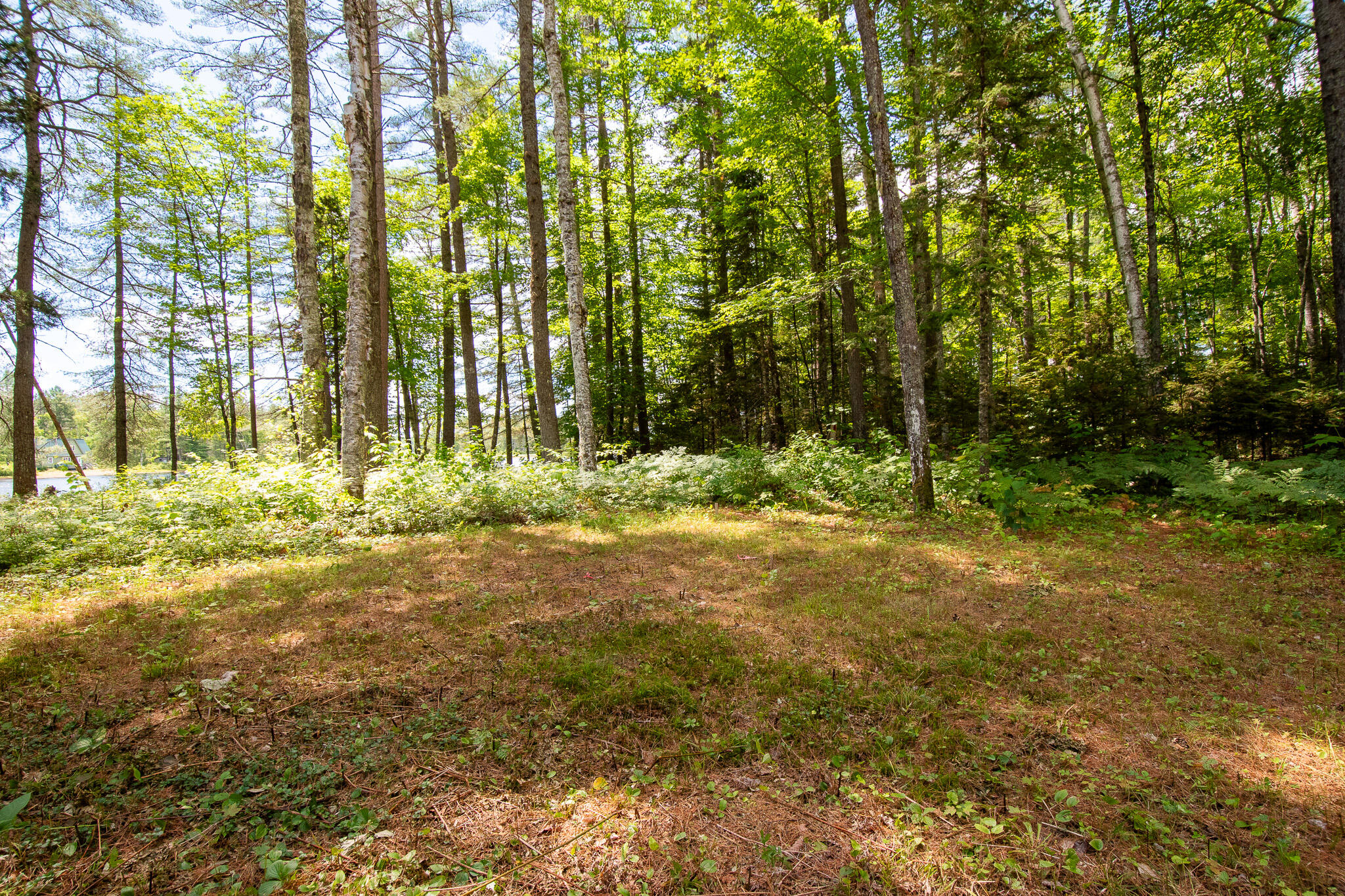 770 Ebeemee Lake Road