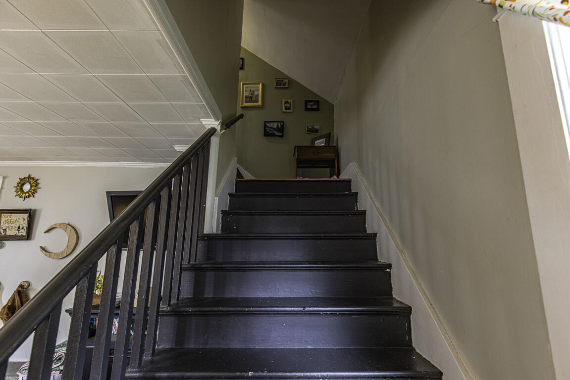 172 Fern Street