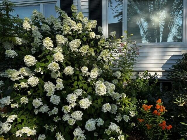 28 Mountainview Avenue