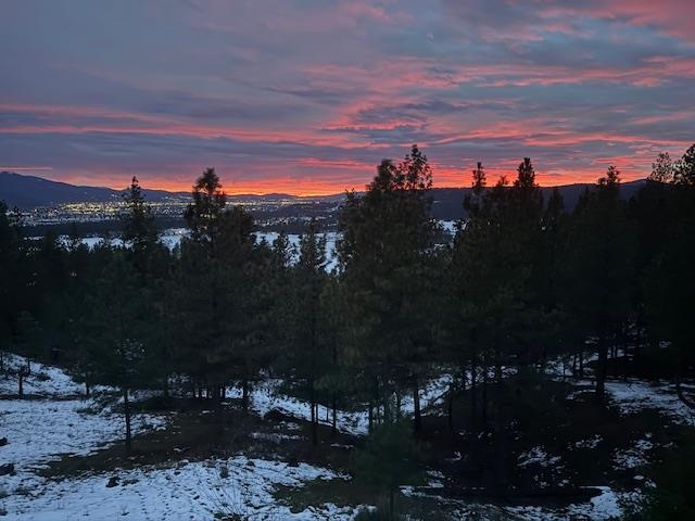 10309 N Lookout View Ln