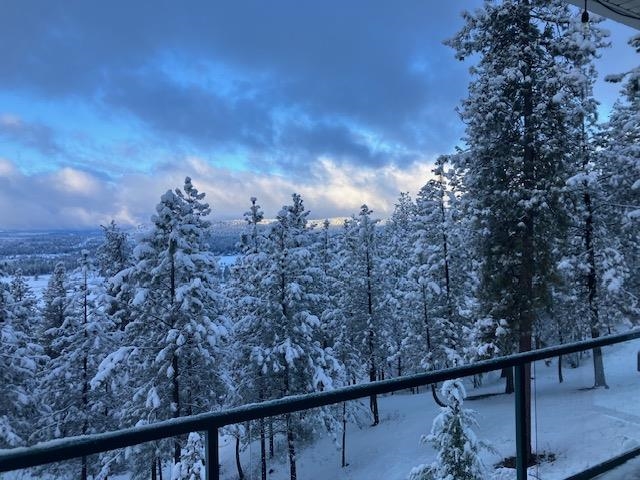 10309 N Lookout View Ln