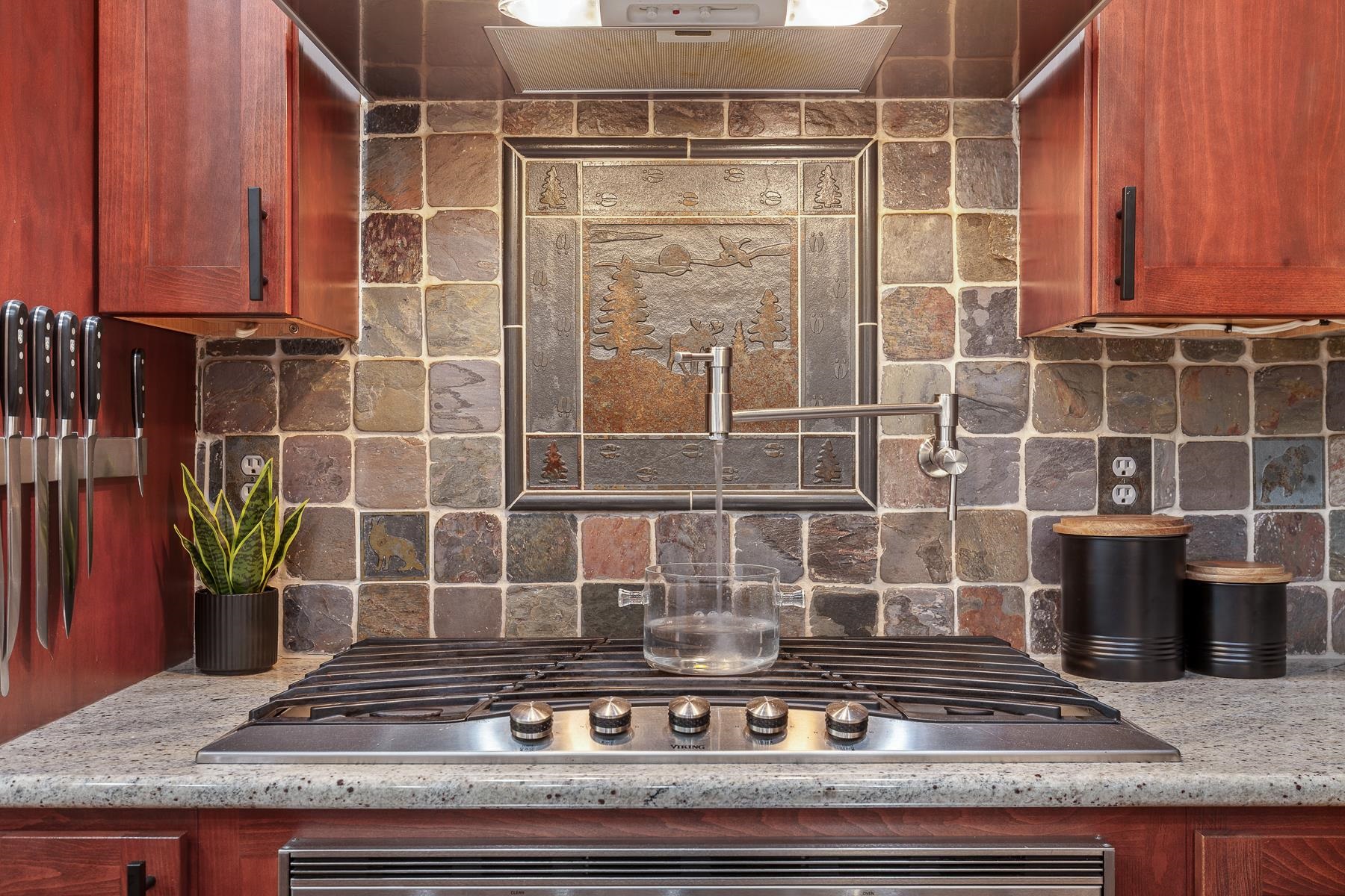 10309 N Lookout View Ln