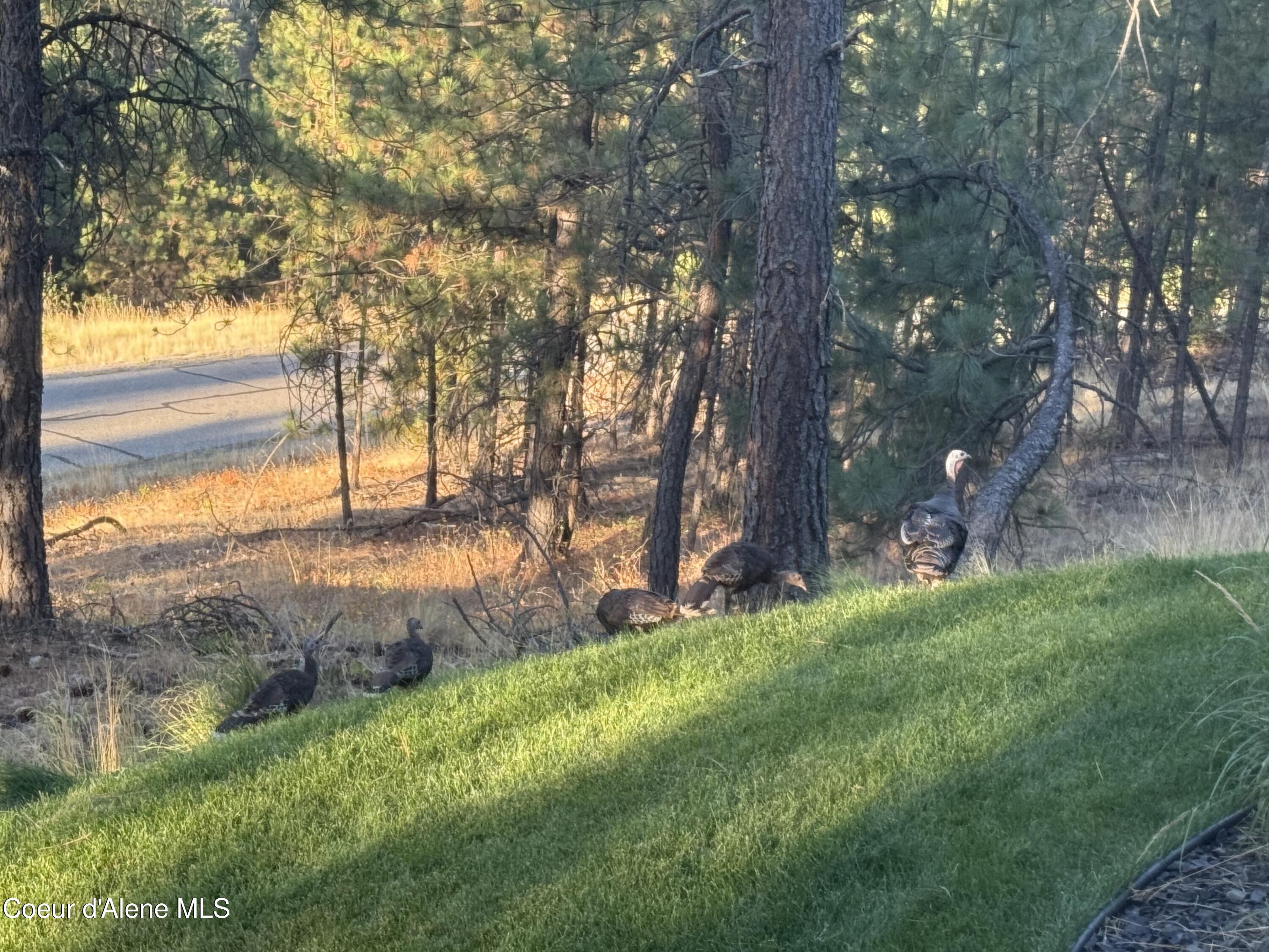 13357 N Spiral Ridge Trail