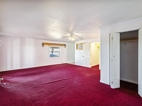 3485 Mountain Drive