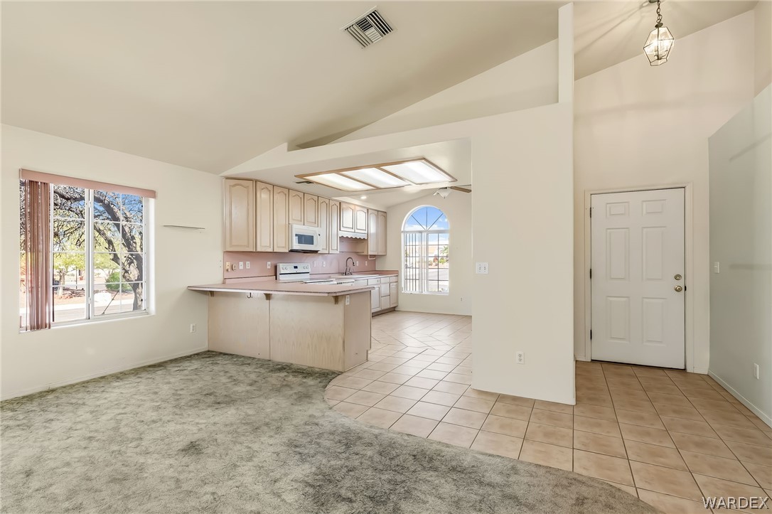 2336 Shadow Canyon Drive