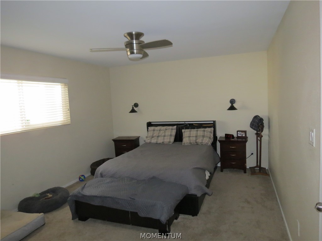 2309 N STALLION Road