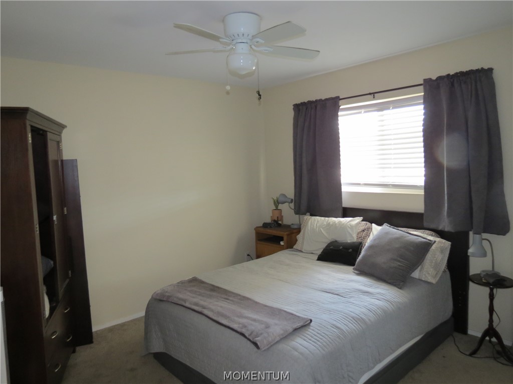 2309 N STALLION Road
