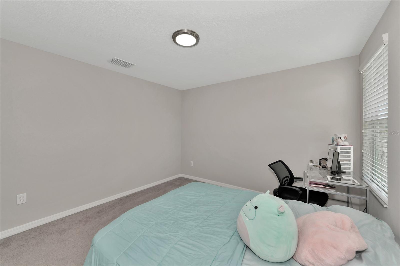 17009 PEACEFUL VALLEY DR