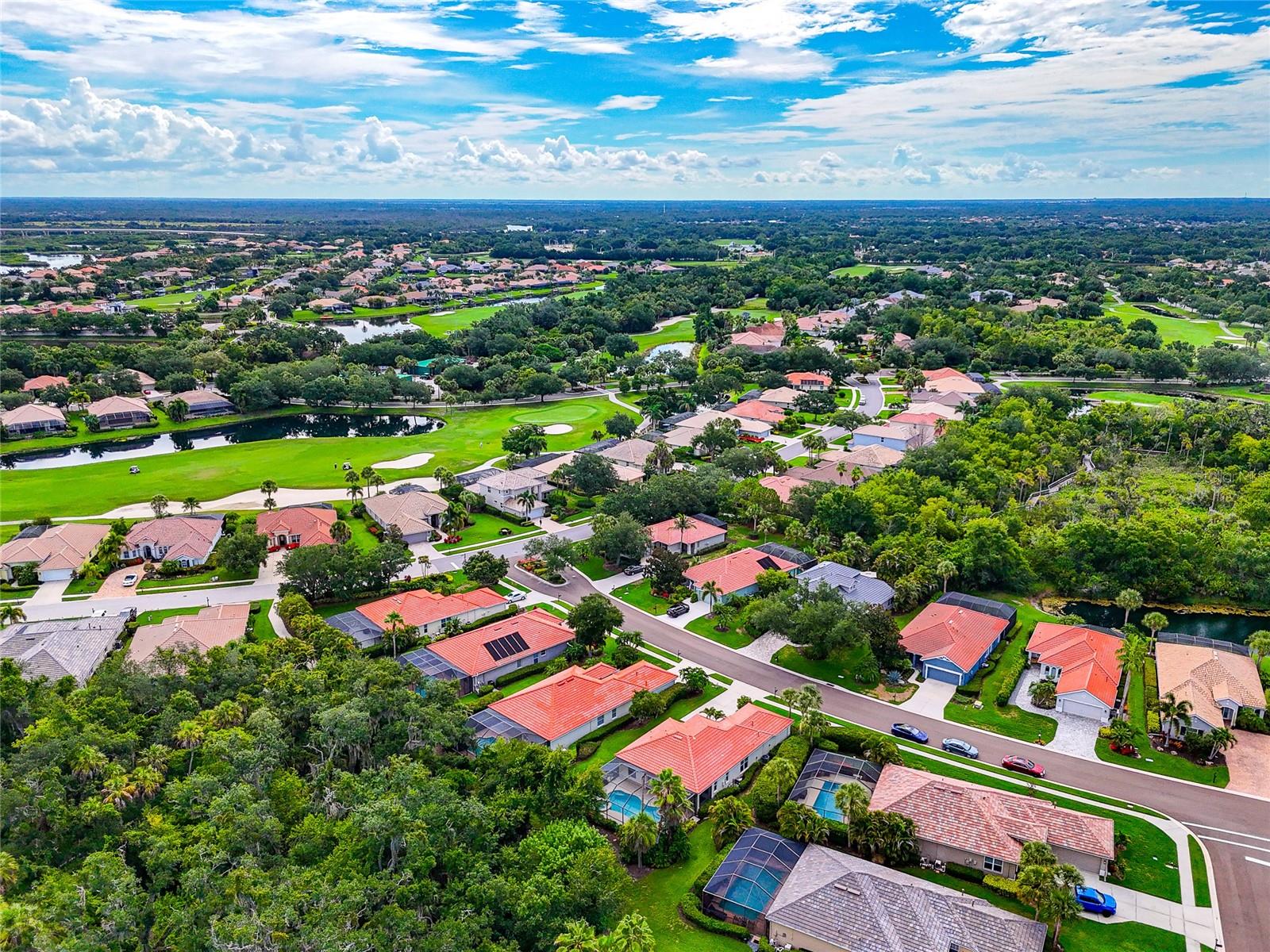706 MISTY POND CT