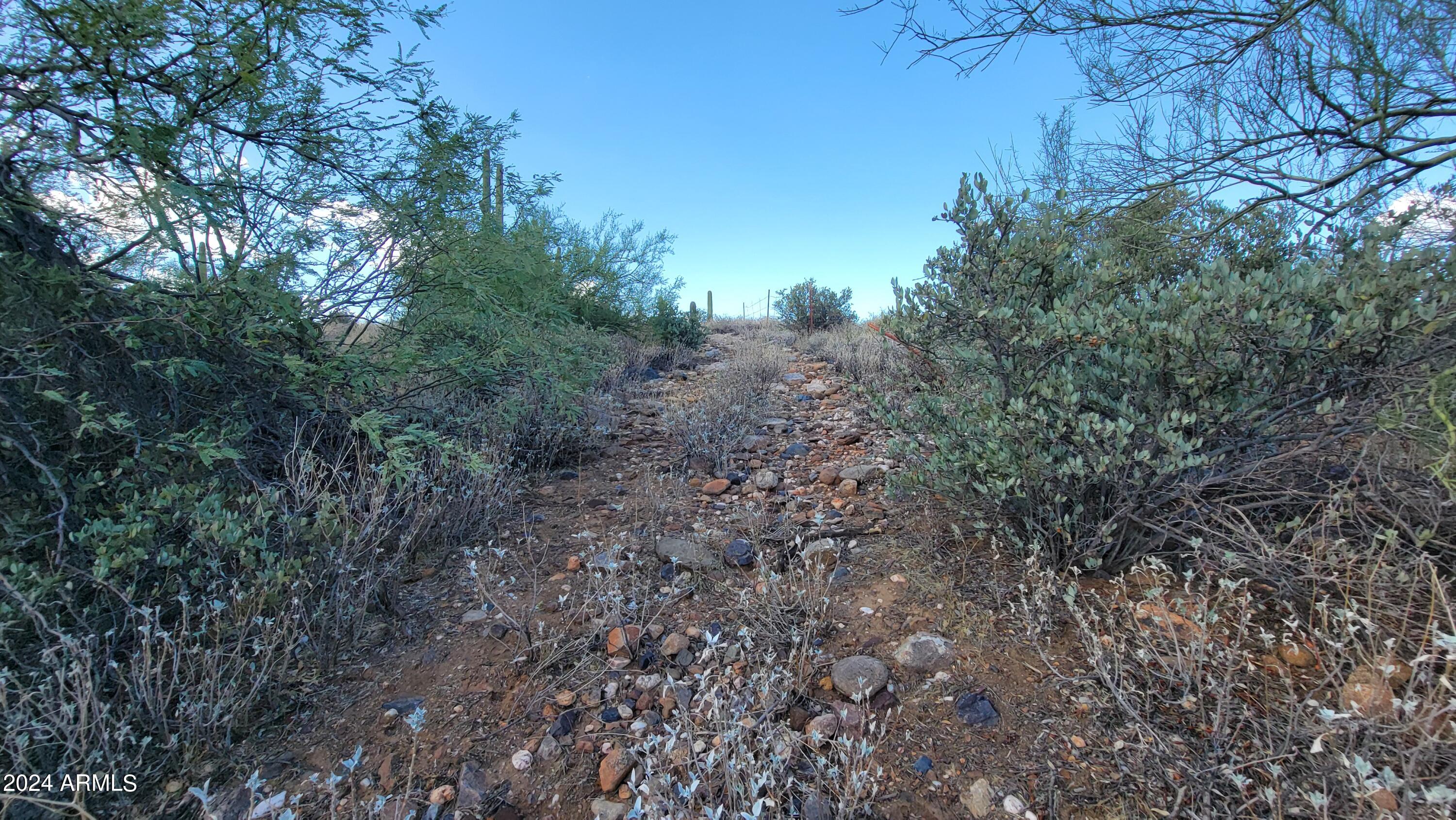 32995 S MAGGIE MINE Road 0