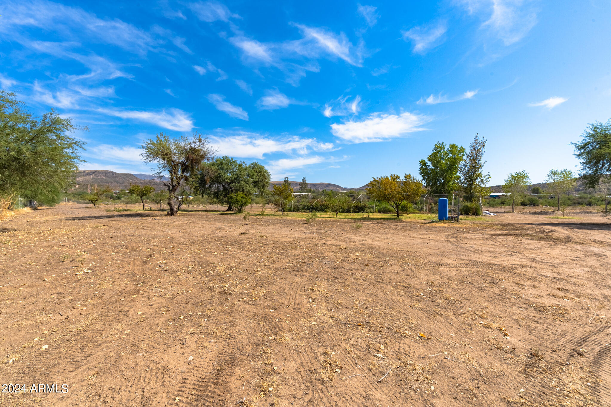 33795 S PARK Lane -