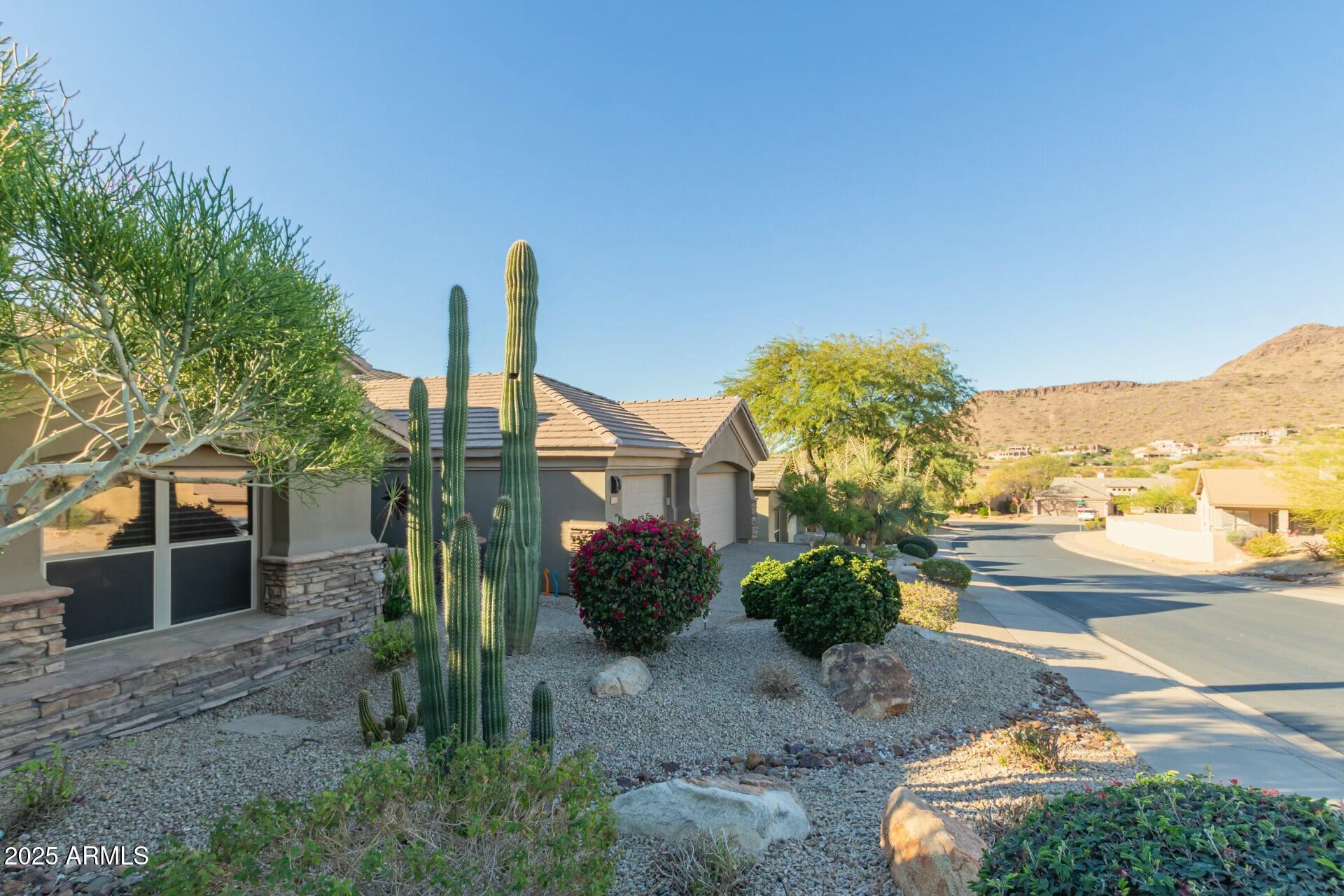 14741 E Mountain Majesty
