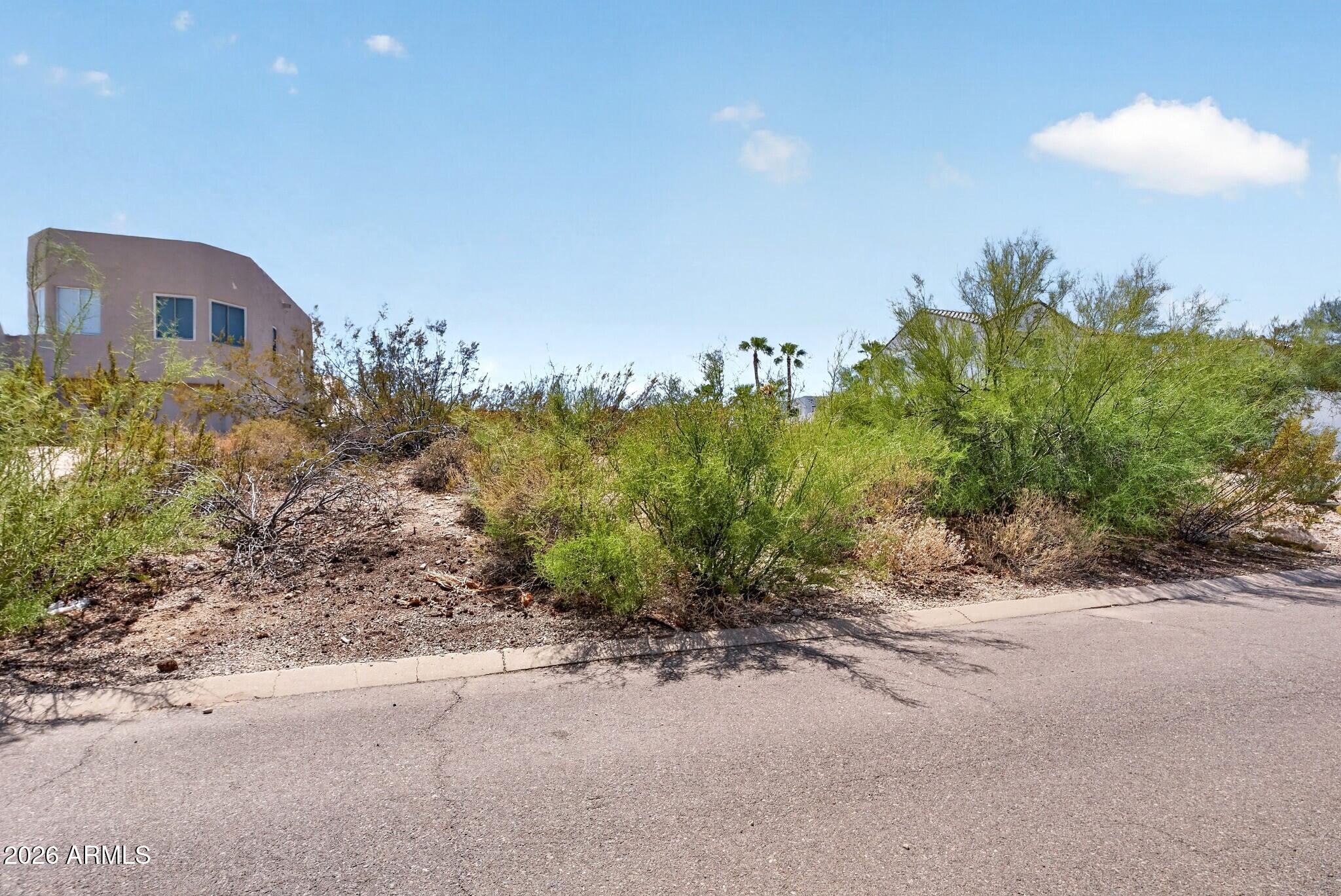 15607 E CHOLLA Drive 12