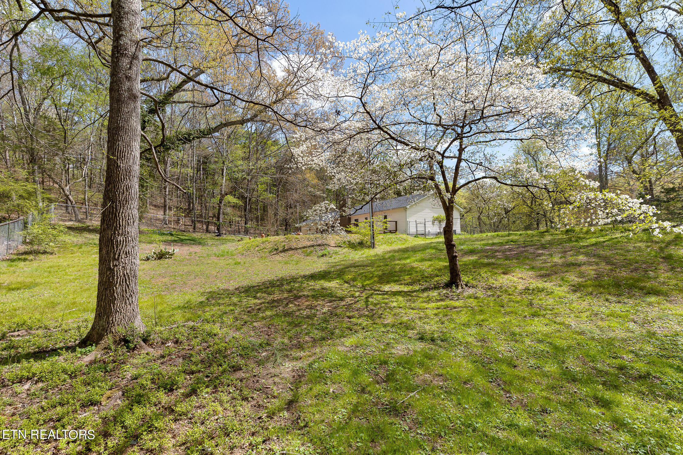 6209 Morning Glory Drive