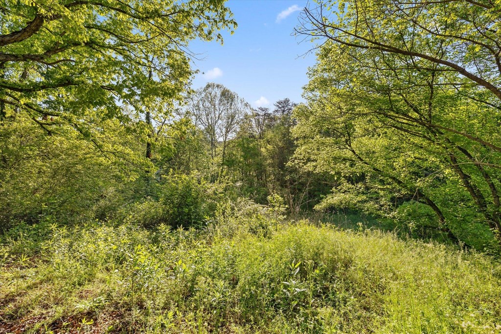 553 Back Valley Road