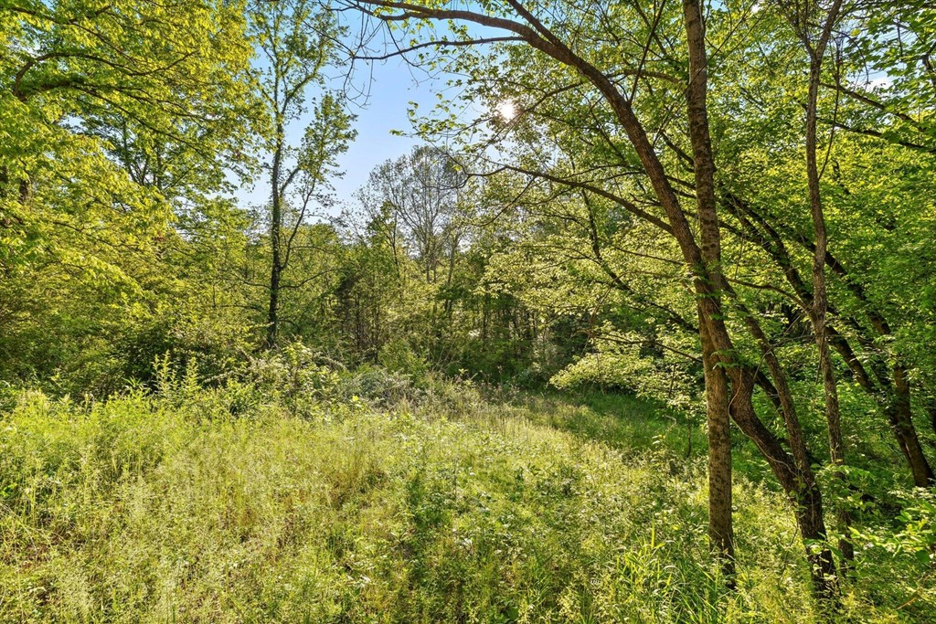 553 Back Valley Road
