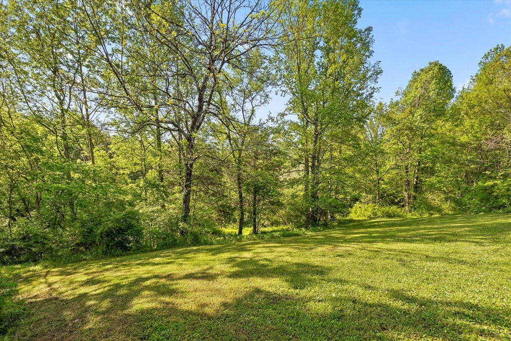 553 Back Valley Road