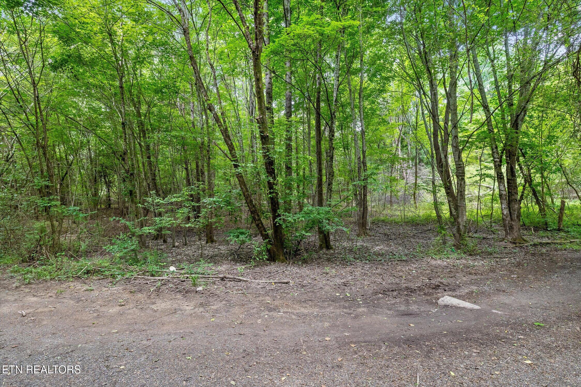 1906 Spradling Rd, Soddy-Daisy