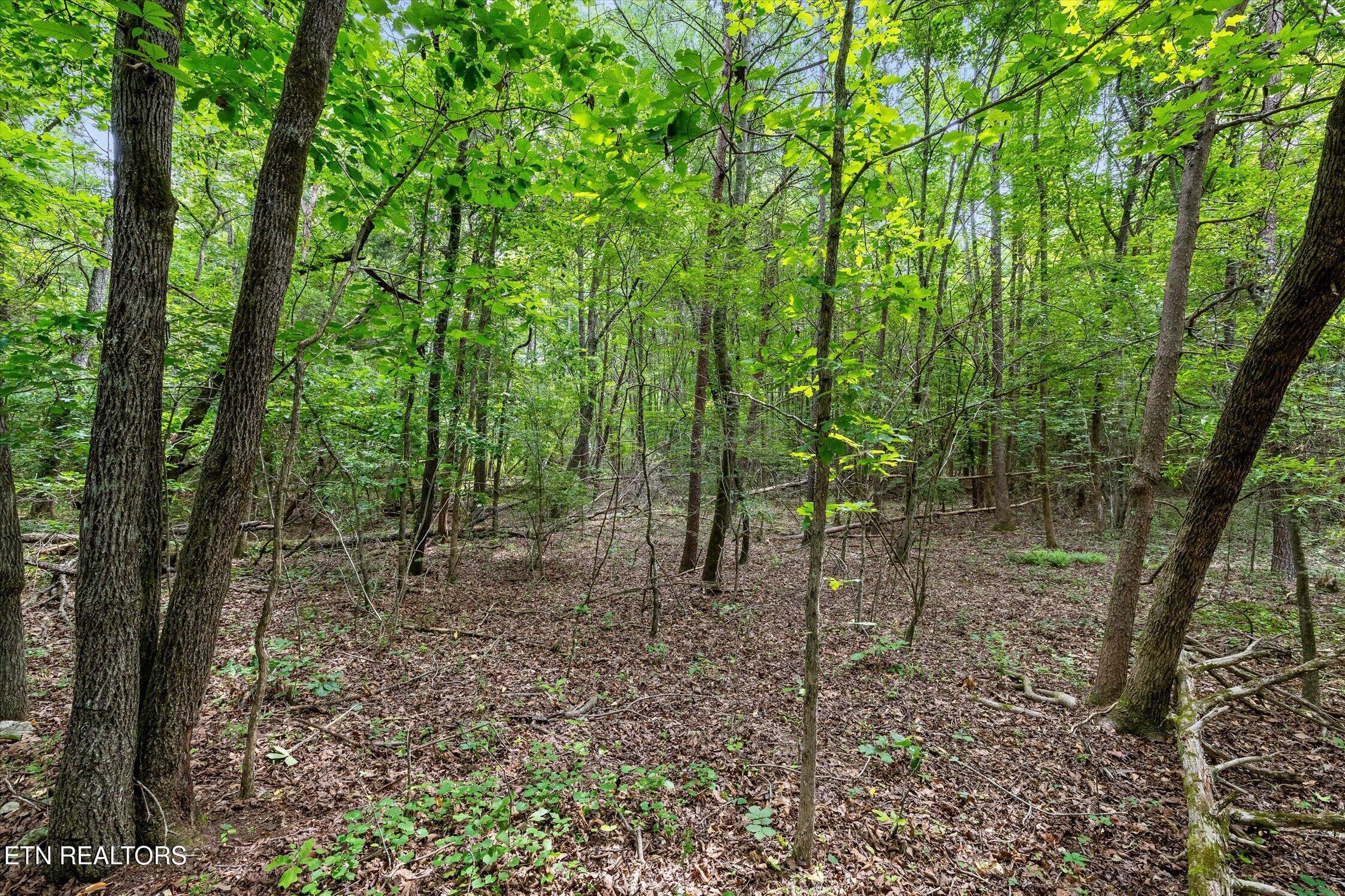 1906 Spradling Rd, Soddy-Daisy