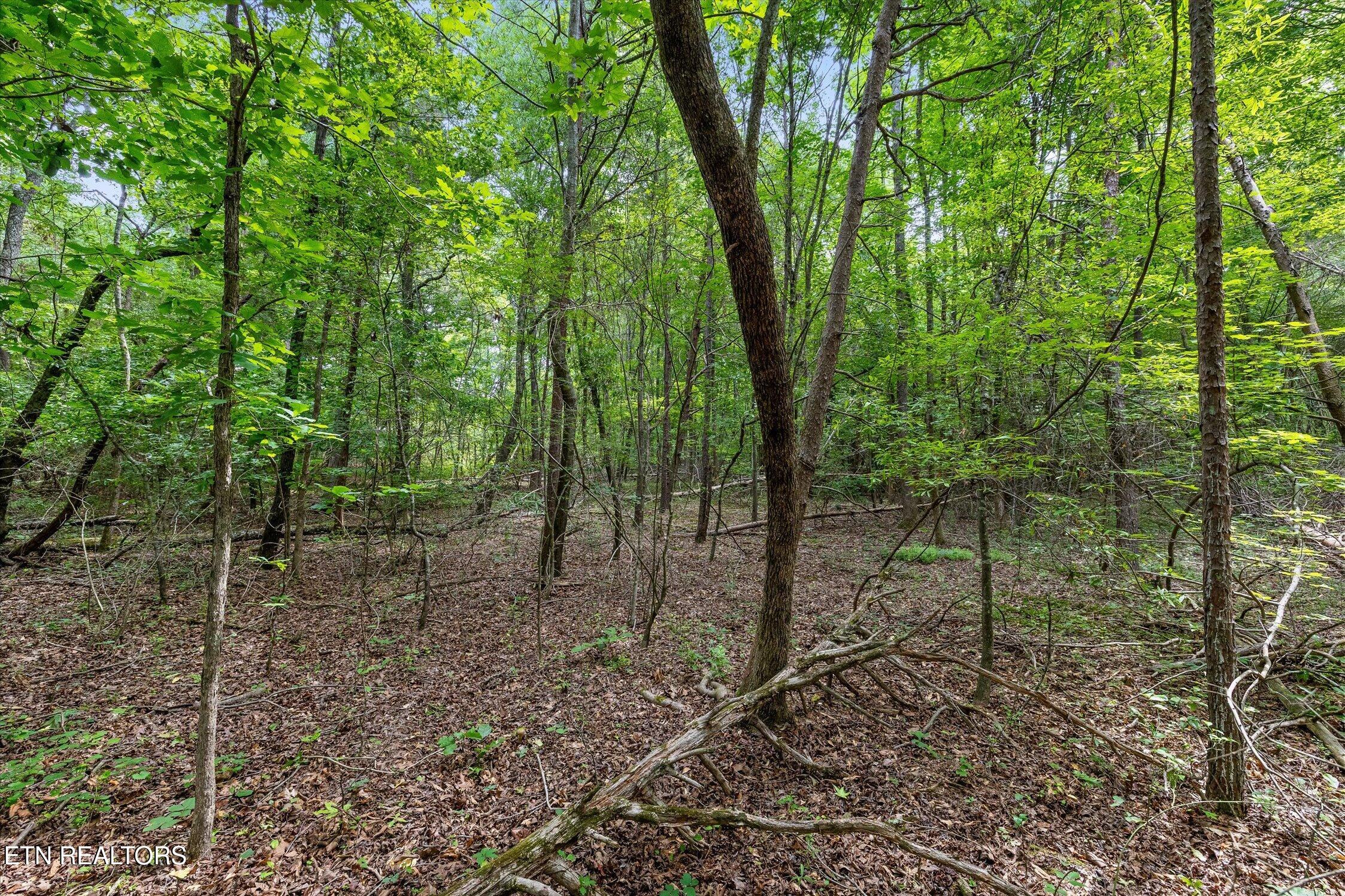 1906 Spradling Rd, Soddy-Daisy