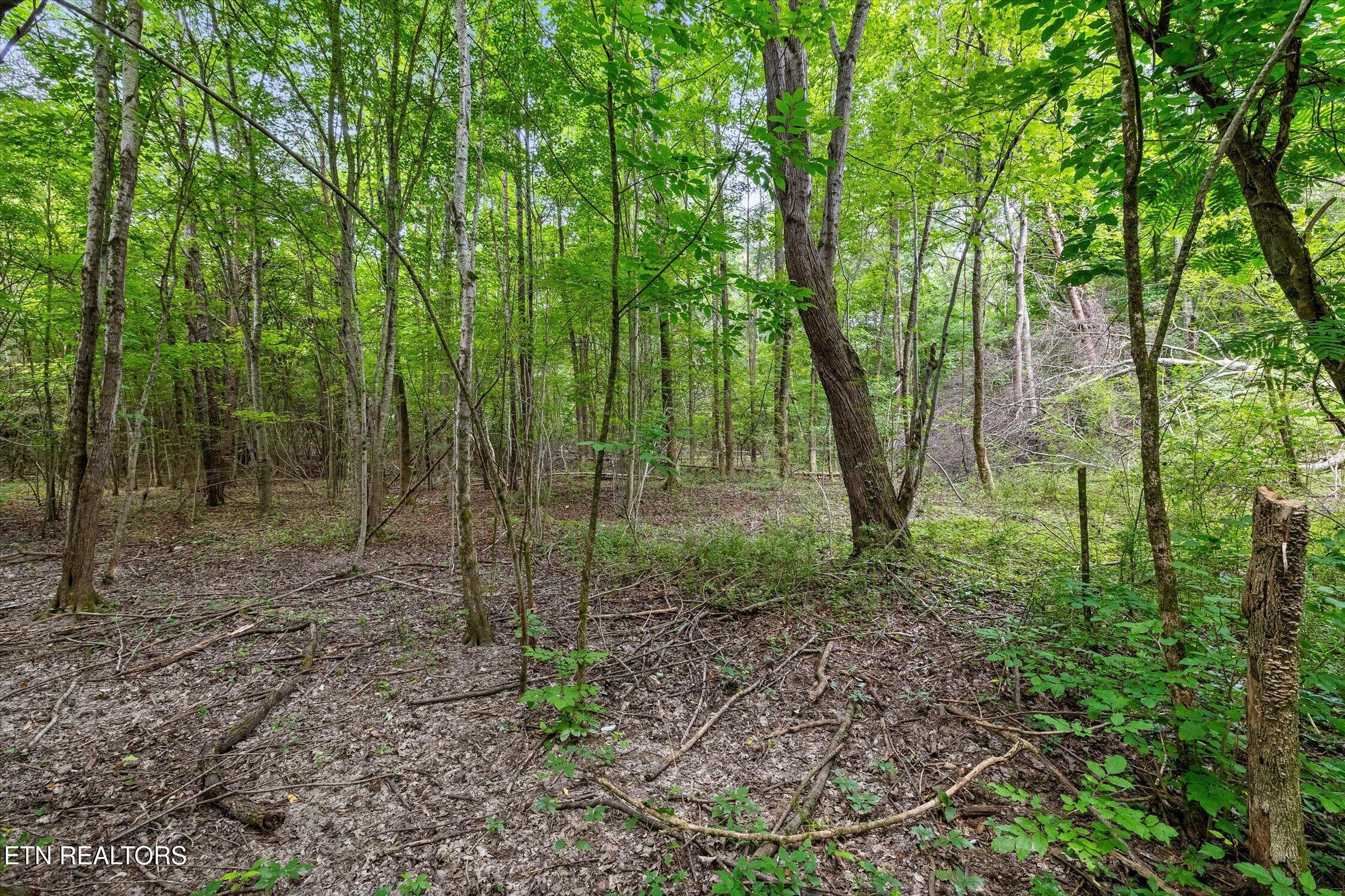 1906 Spradling Rd, Soddy-Daisy