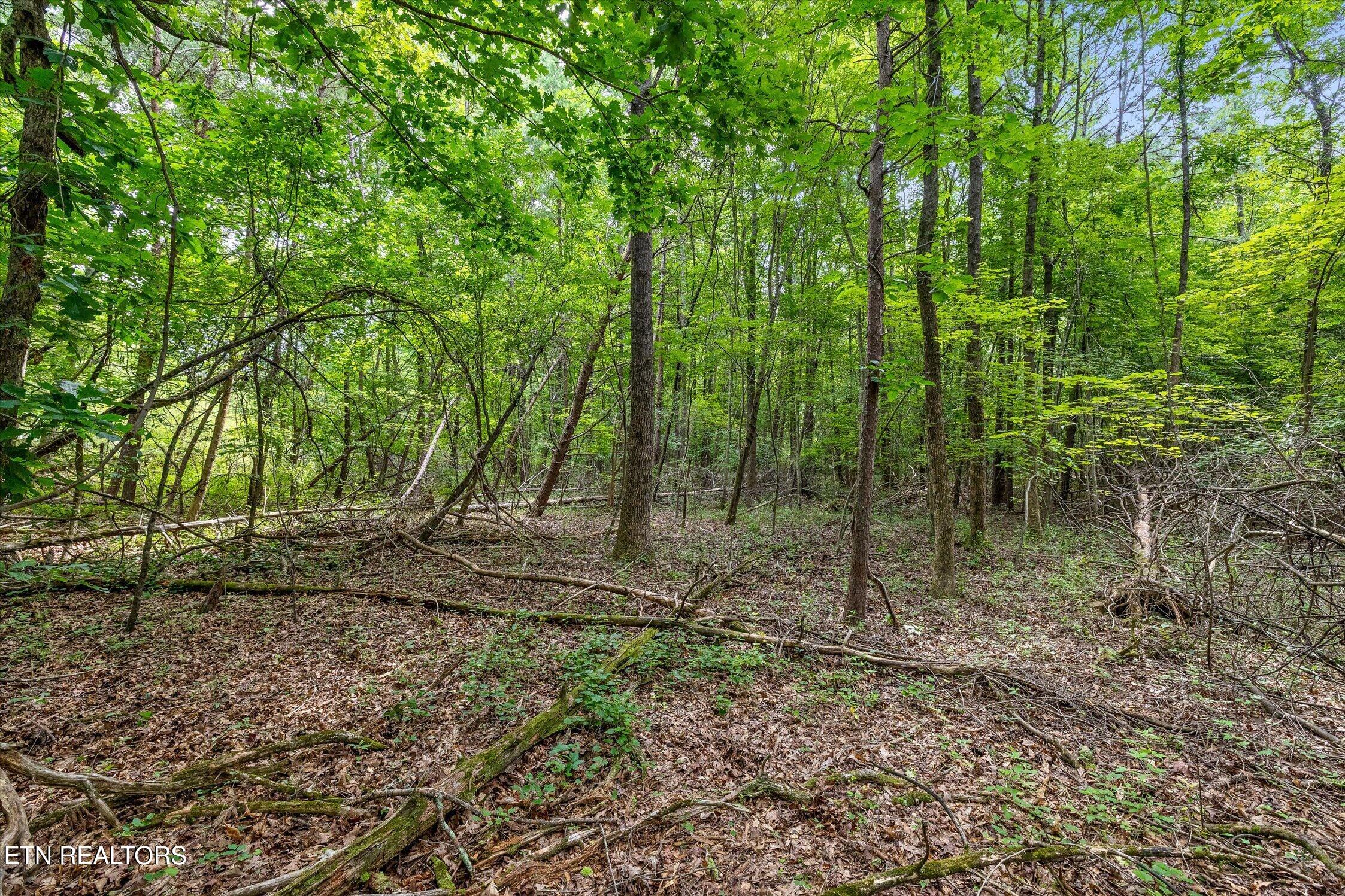 1906 Spradling Rd, Soddy-Daisy