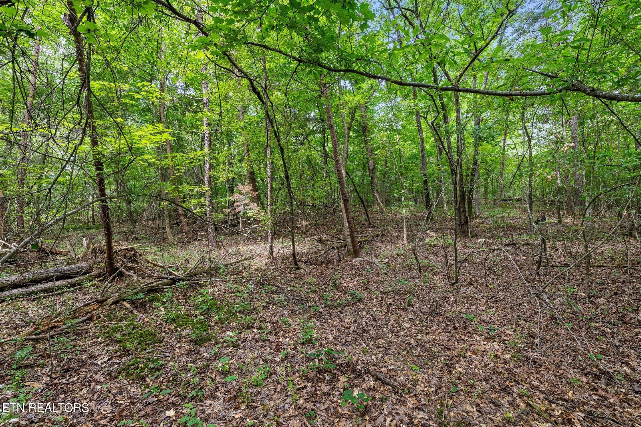 1906 Spradling Rd, Soddy-Daisy