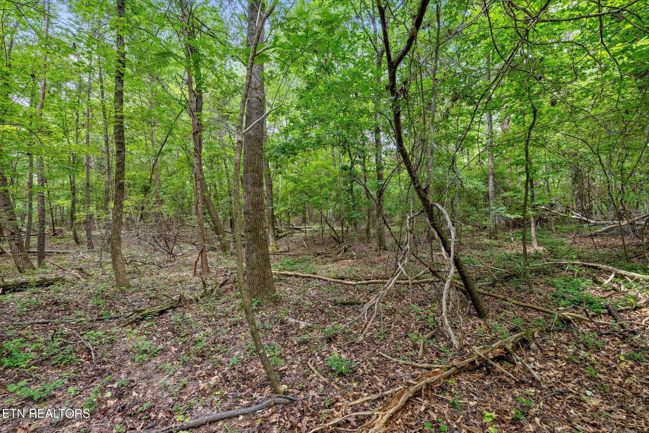 1906 Spradling Rd, Soddy-Daisy