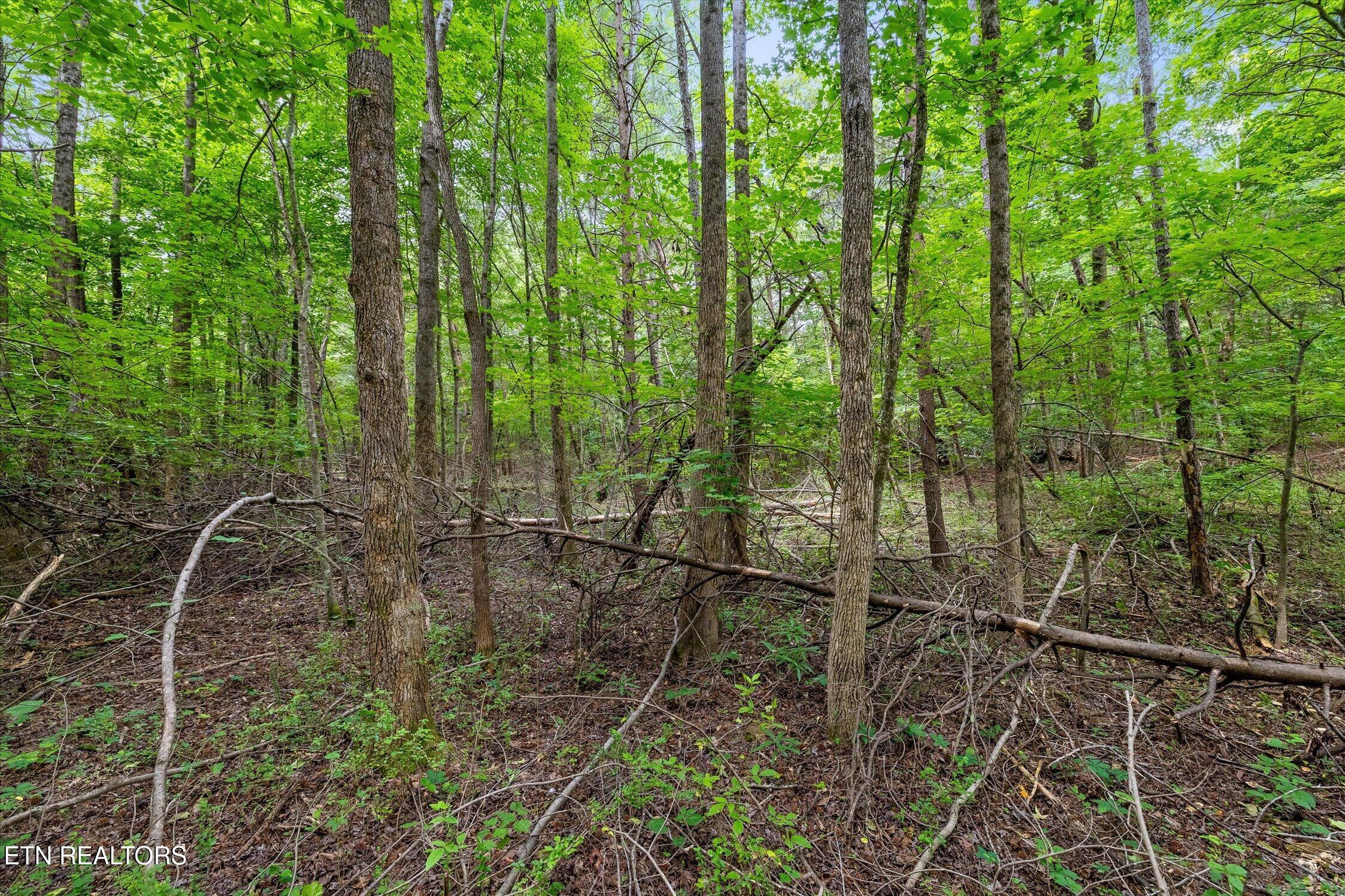 1906 Spradling Rd, Soddy-Daisy