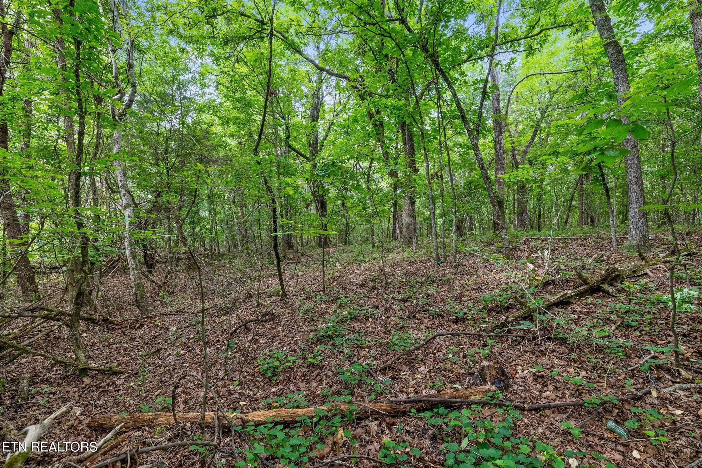 1906 Spradling Rd, Soddy-Daisy