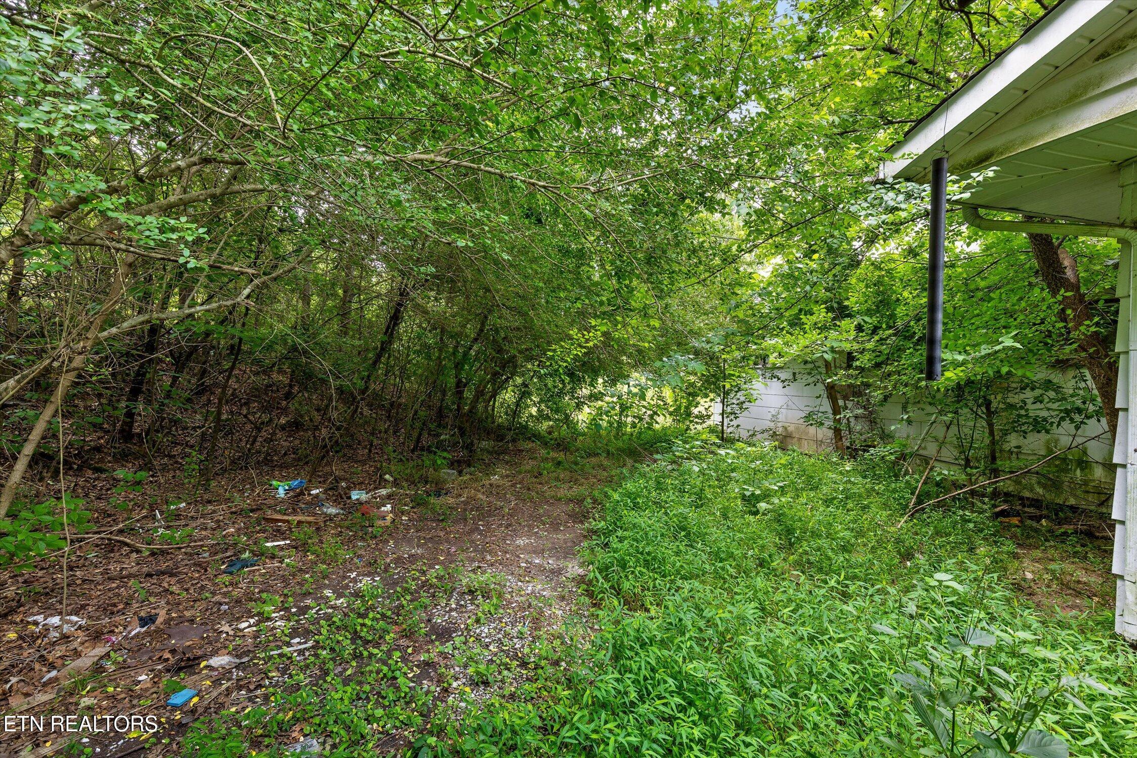 145 Pecan St