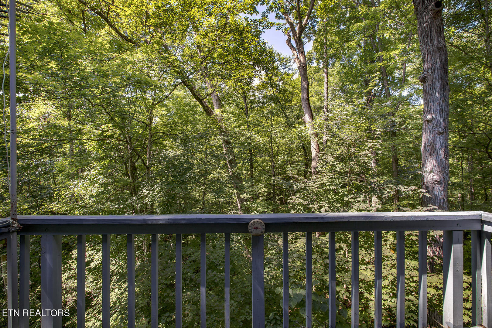 1560 Bluebird Cove Lane