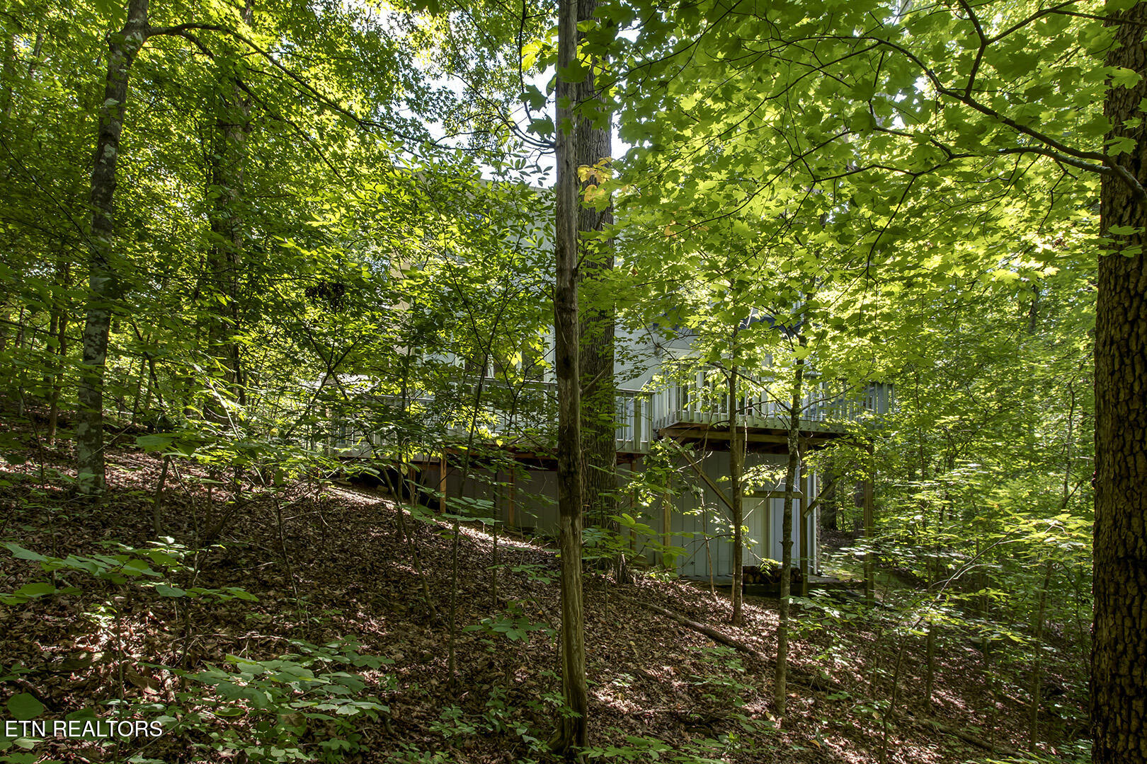 1560 Bluebird Cove Lane