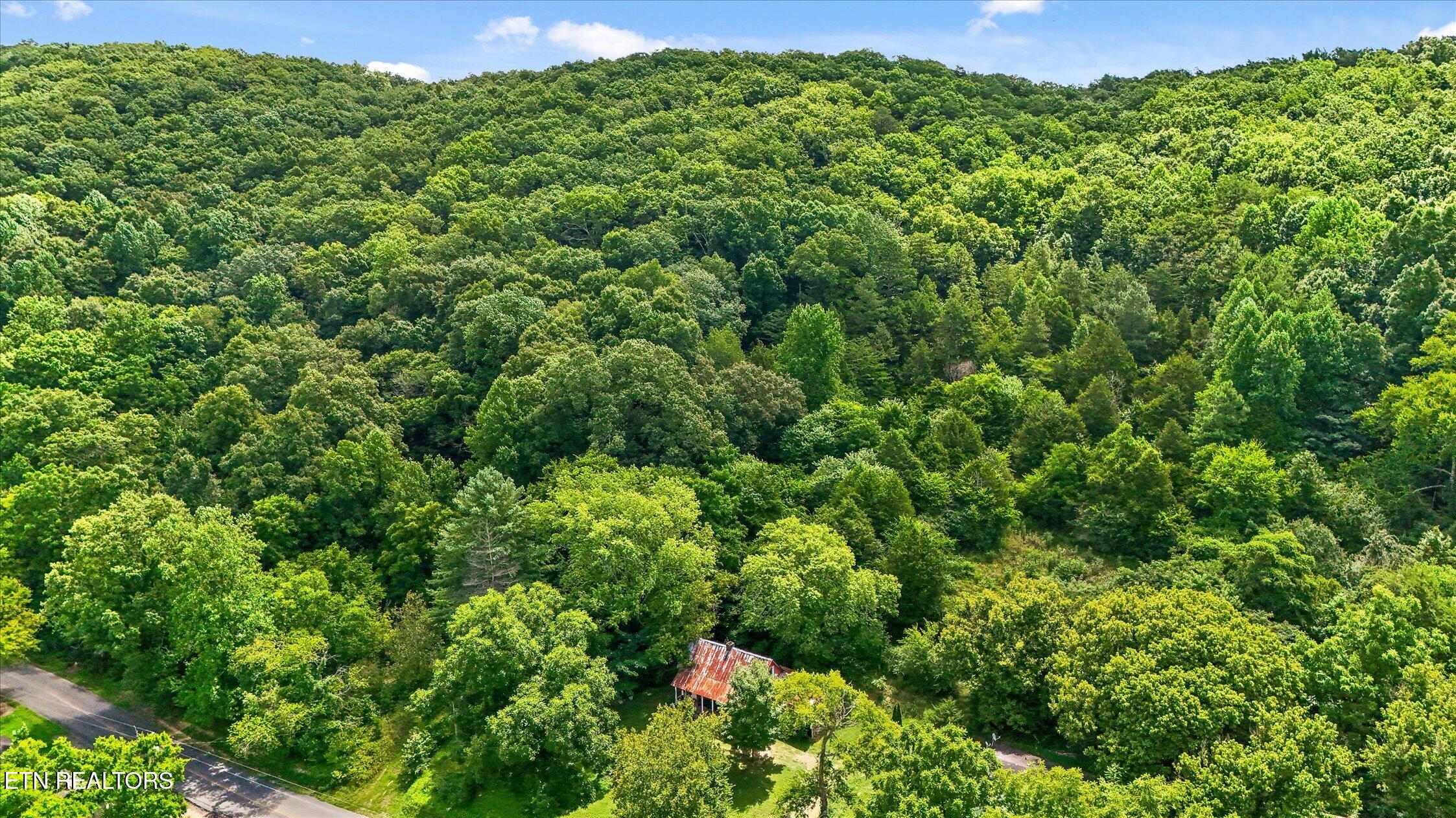 5904 Candies Creek Ridge Rd