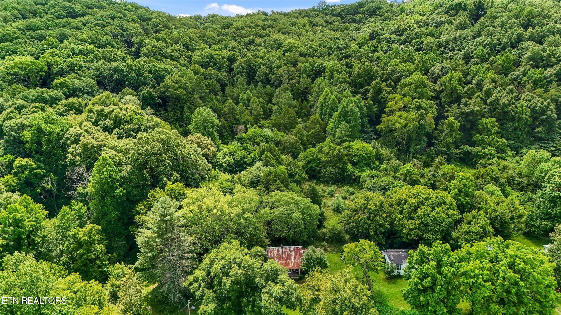 5904 Candies Creek Ridge Rd