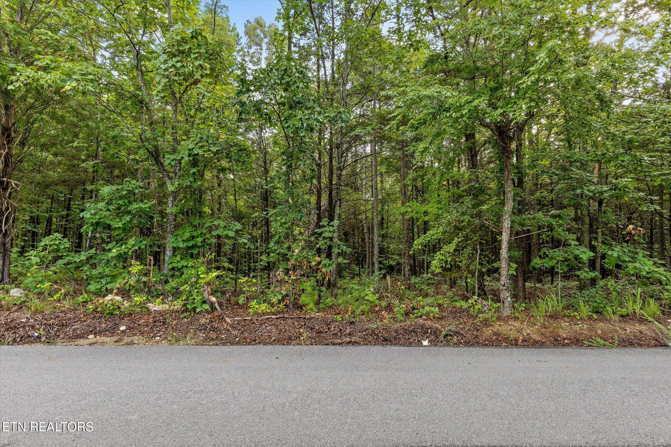 12712 Cranfield Rd