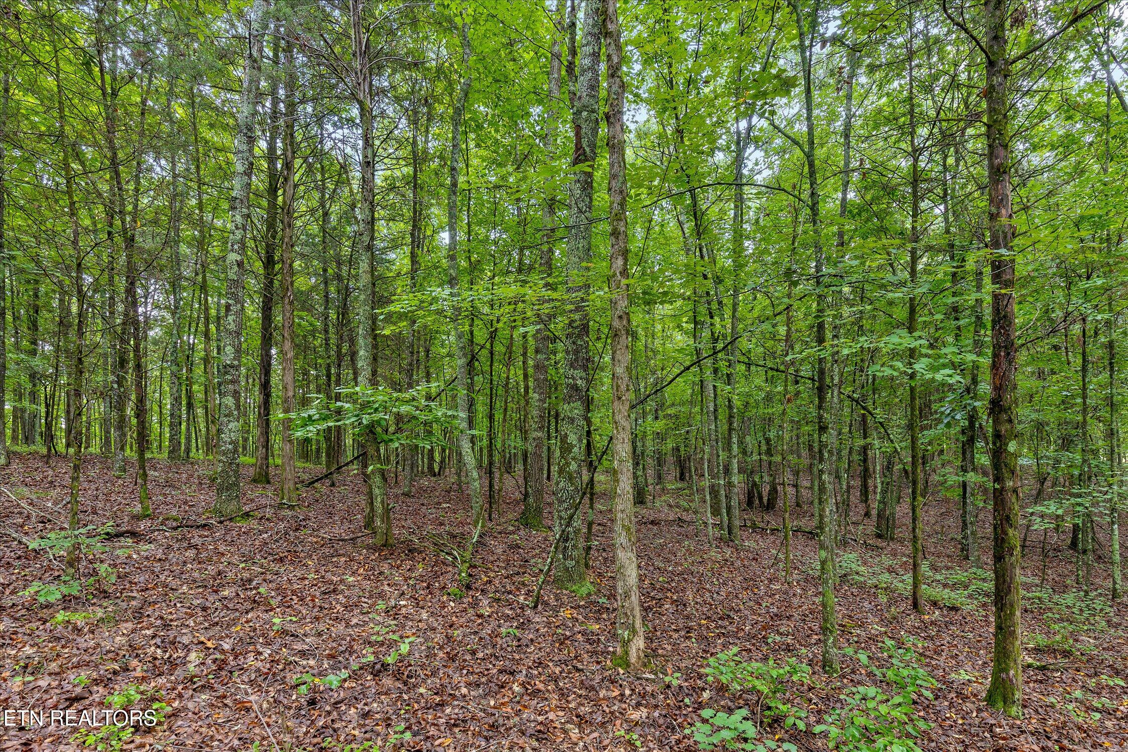 12706 Cranfield Rd