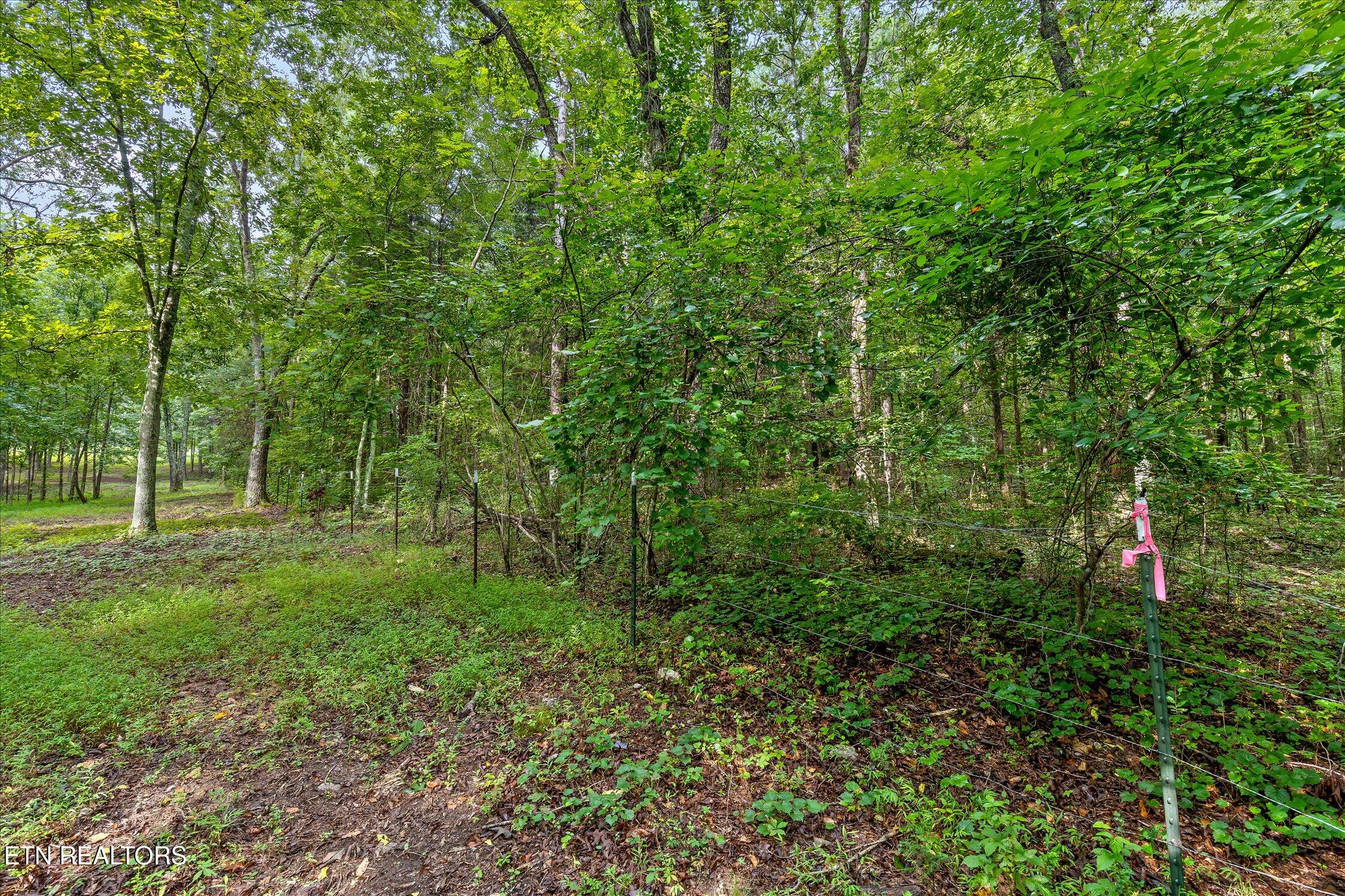 12706 Cranfield Rd